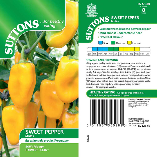 Paprika 'Midas'