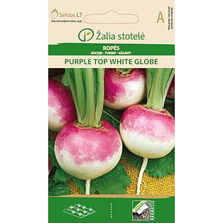 Majrova 'Purple Top White Globe'