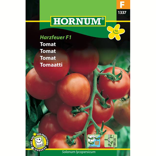 Tomat 'Harzfeuer' F1