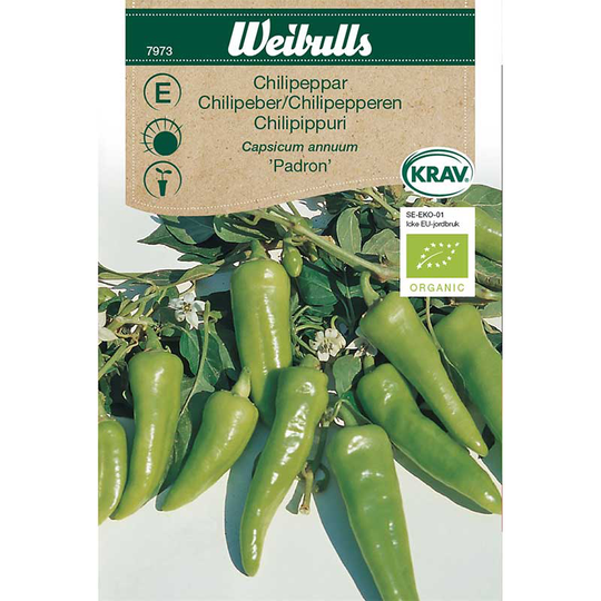 Chilipeppar 'Padron' KRAV, ekologisk