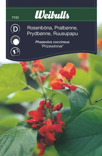 Weibulls Rosenböna Prizewinner