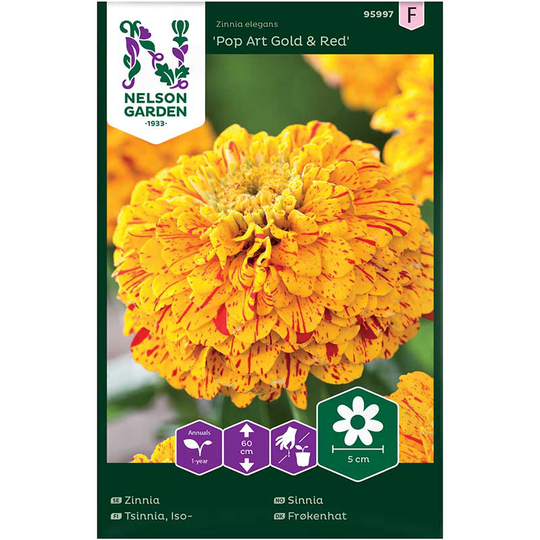 Zinnia 'Pop Art Gold & Red'
