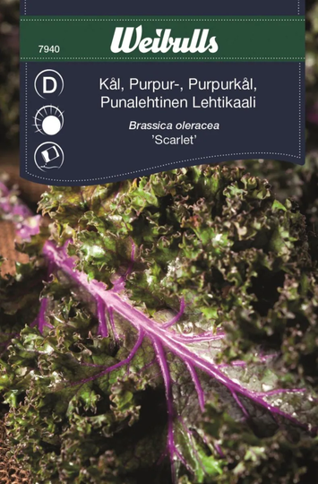 Weibulls Purpurkål Scarlet