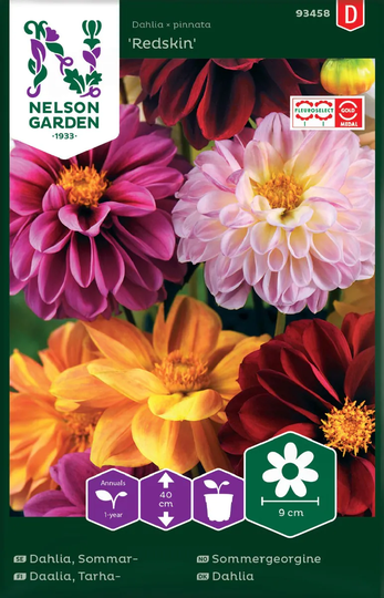 Nelson Garden Sommardahlia Redskin