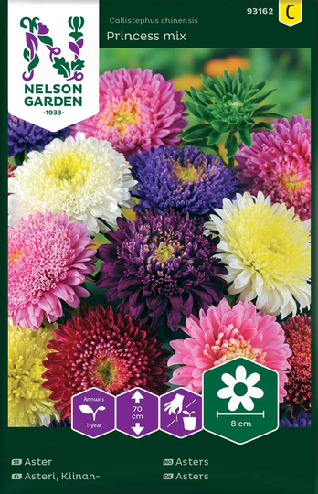 Nelson Garden Aster Princess Mix