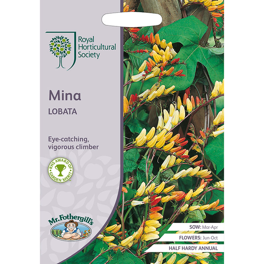 Spanska flaggan MINA lobata
