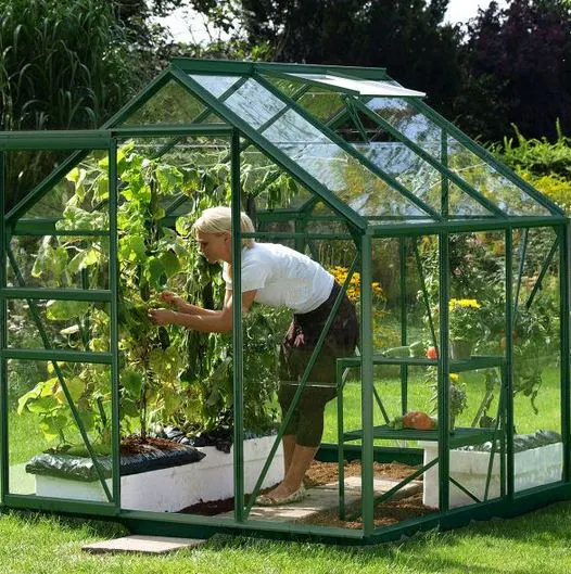 Vitavia Växthus Venus 3800 Grön Glas