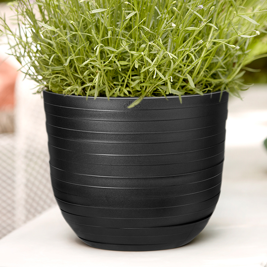 Kruka Fuente Rings 30 cm, svart