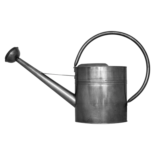 Weibulls Vattenkanna 9L Zink