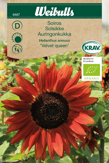 Weibulls Solros KRAV Velvet Queen