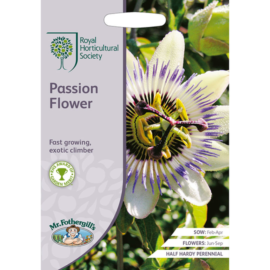 Blå passionsblomma