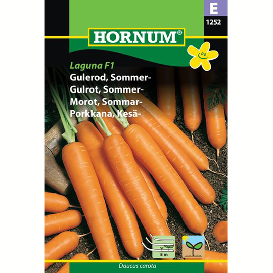 Morot 'Laguna' F1, såband