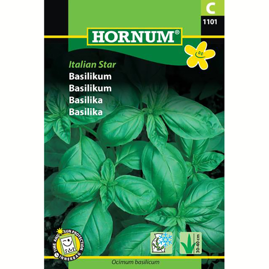 Basilika 'Italian Star'