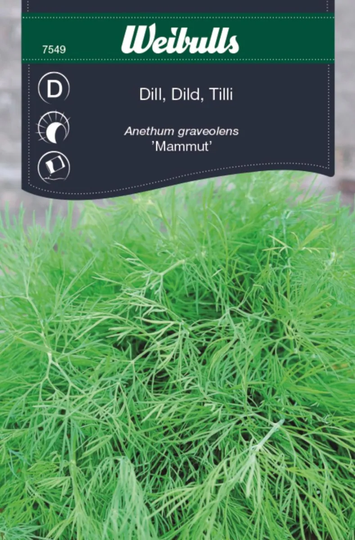 Weibulls Dill Mammut