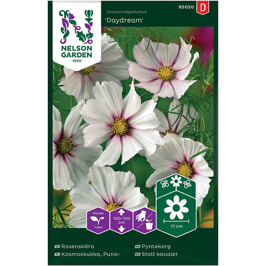 Rosenskära 'Daydream'