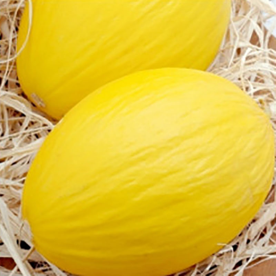 Melon Ananas