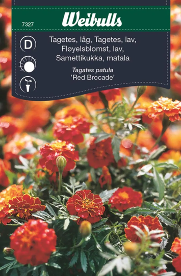 Weibulls Tagetes Låg