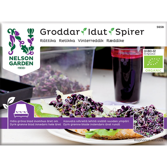 Groddar, rättika - ekologiskt frö