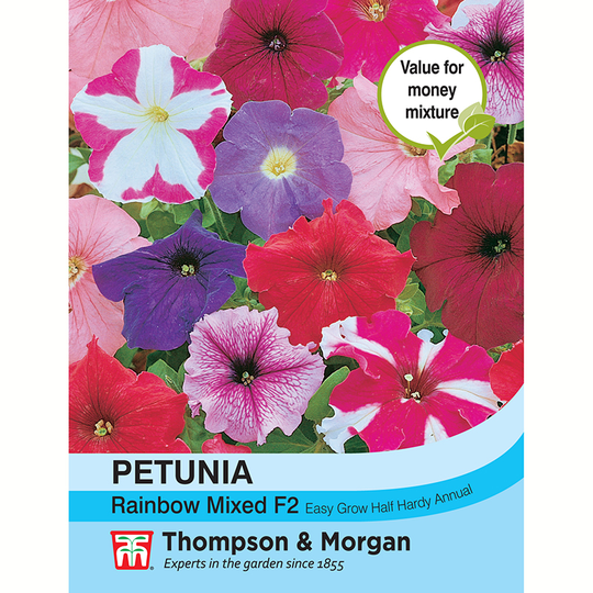 Petunia 'Rainbow Mixed' F2