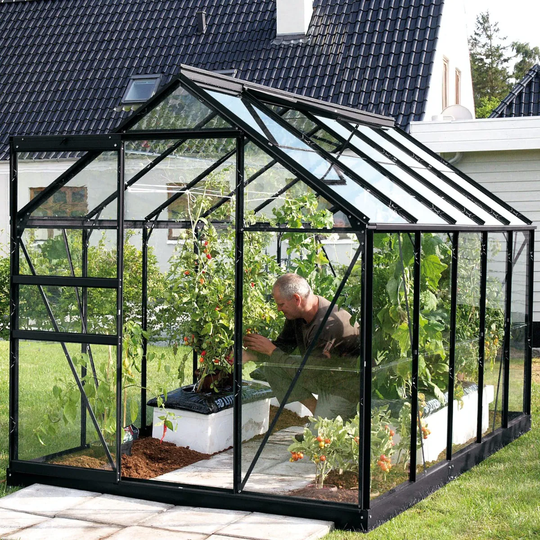 Vitavia Växthus Venus 6,2 kvm Svart Glas