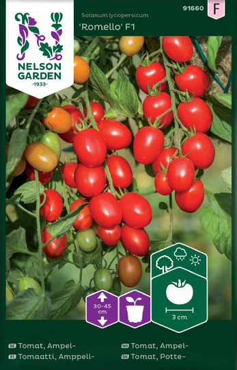 Nelson Garden Tomat Ampel Romello F1