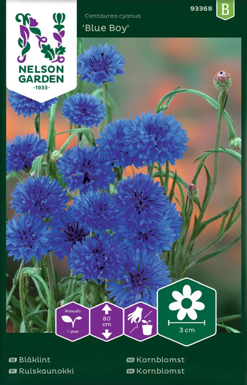 Nelson Garden Blåklint Blue Boy