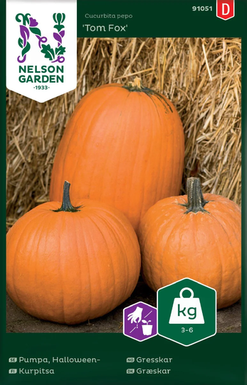Nelson Garden Pumpa Tom Fox