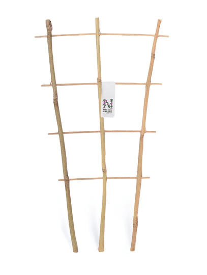 Nelson Garden Krukspaljé bambu 60cm