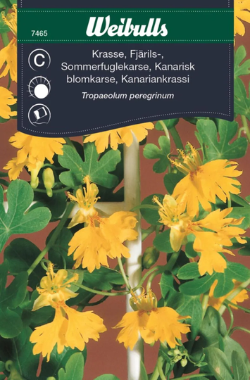 Weibulls Fjärilskrasse