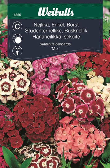 Weibulls Borstnejlika Mix Enkel