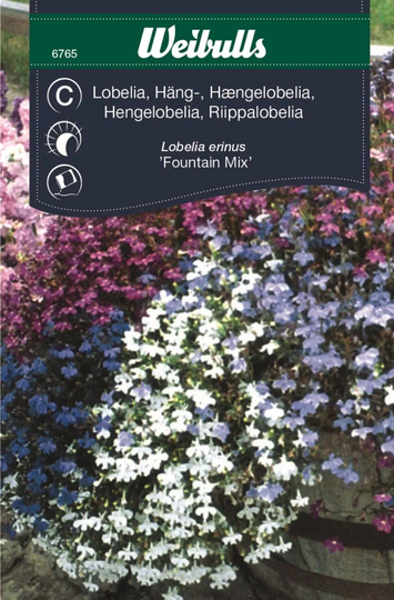 Weibulls Hänglobelia Mix