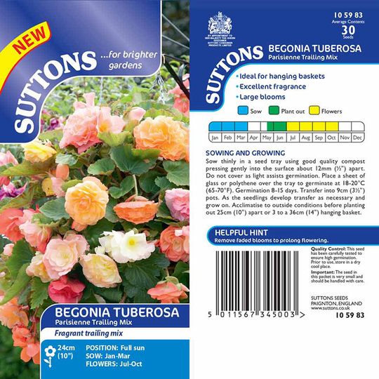Knölbegonia 'Parisienne Trailing Mix'