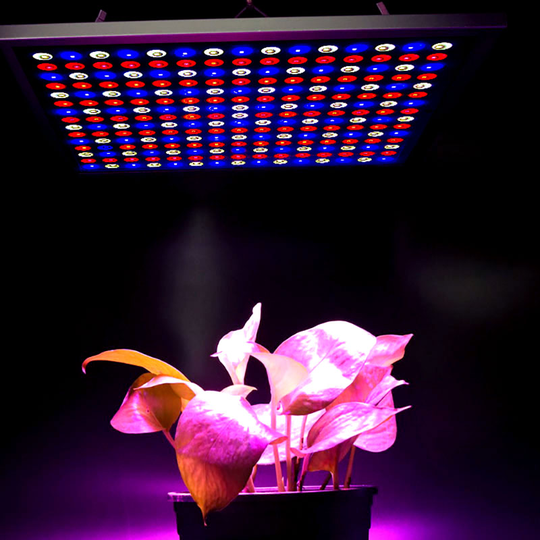 X-Grow Led-panel, 45W