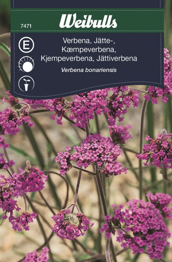 Weibulls Jätteverbena