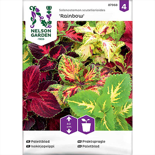 Palettblad 'Rainbow'