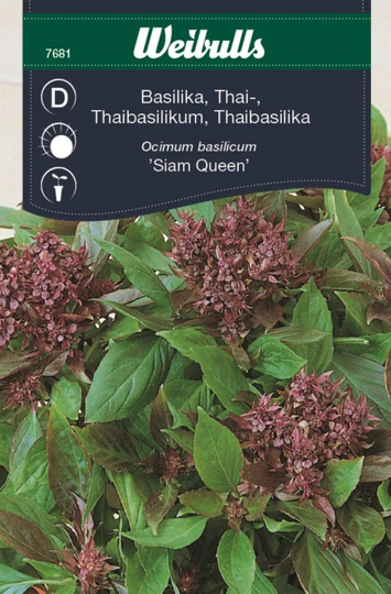 Weibulls Thaibasilika Oriental