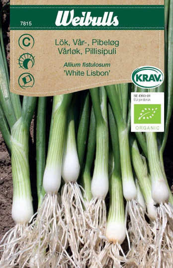 Weibulls Vårlök KRAV White Lisbon