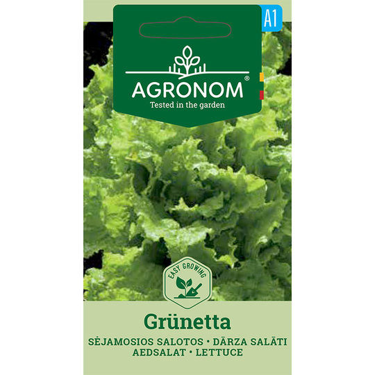 Plocksallat 'Grünetta'