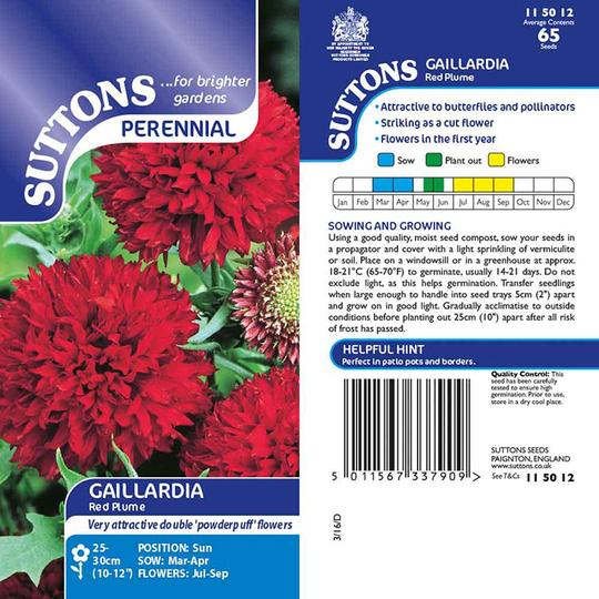 Sommarkokardblomster 'Red Plume'