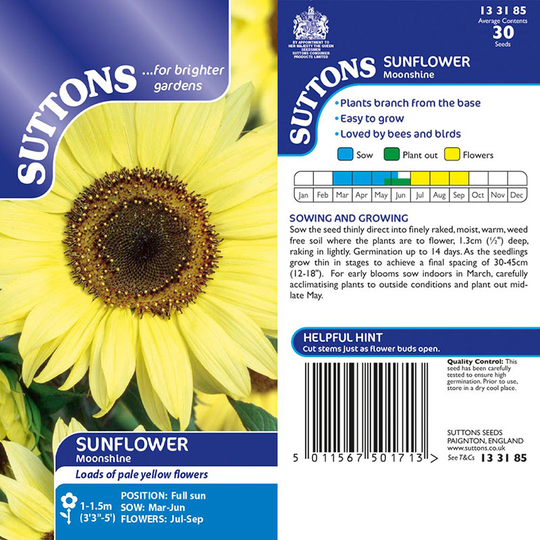 Solros 'Moonshine'