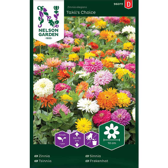 Zinnia 'Takii's Choice'