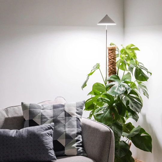 Venso EcoSolutions Växtlampa Venso Sunlite WH XL 30W med teleskopstativ