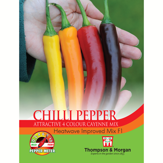 Chilipeppar 'Heatwave Improved Mix' F1