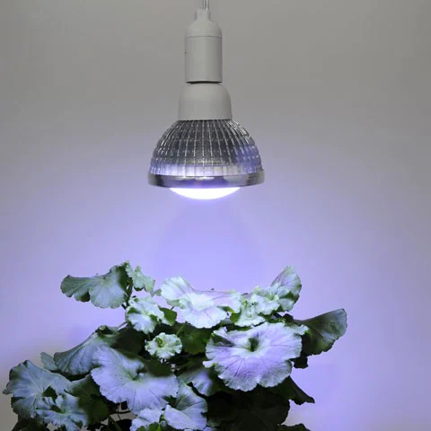 Venso EcoSolutions Växtlampa Vinter 18W 140°