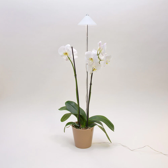 Venso EcoSolutions Växtlampa Venso Sunlite Orchid Vit