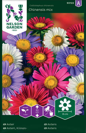 Nelson Garden Aster Enkel Mix