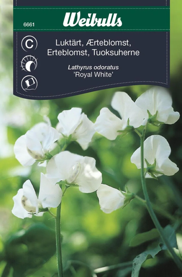 Weibulls Luktärt Royal White