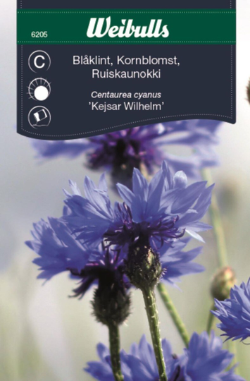 Weibulls Blåklint Kejsar Wilhelm