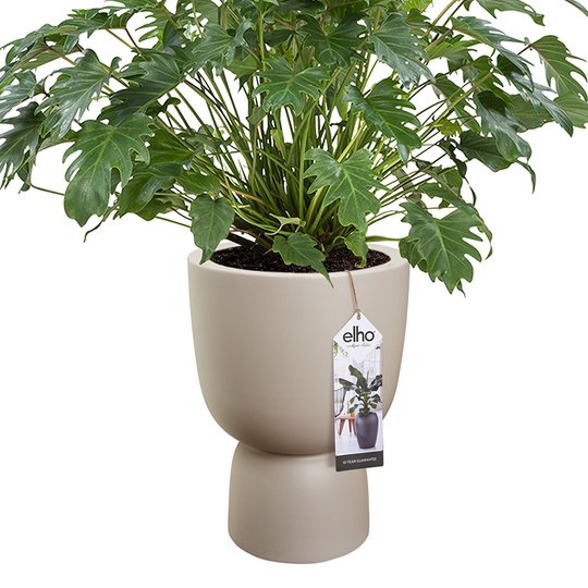Kruka Pure Coupe 41 cm, beige
