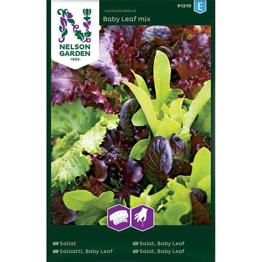 Baby Leaf sallat - mix, såband